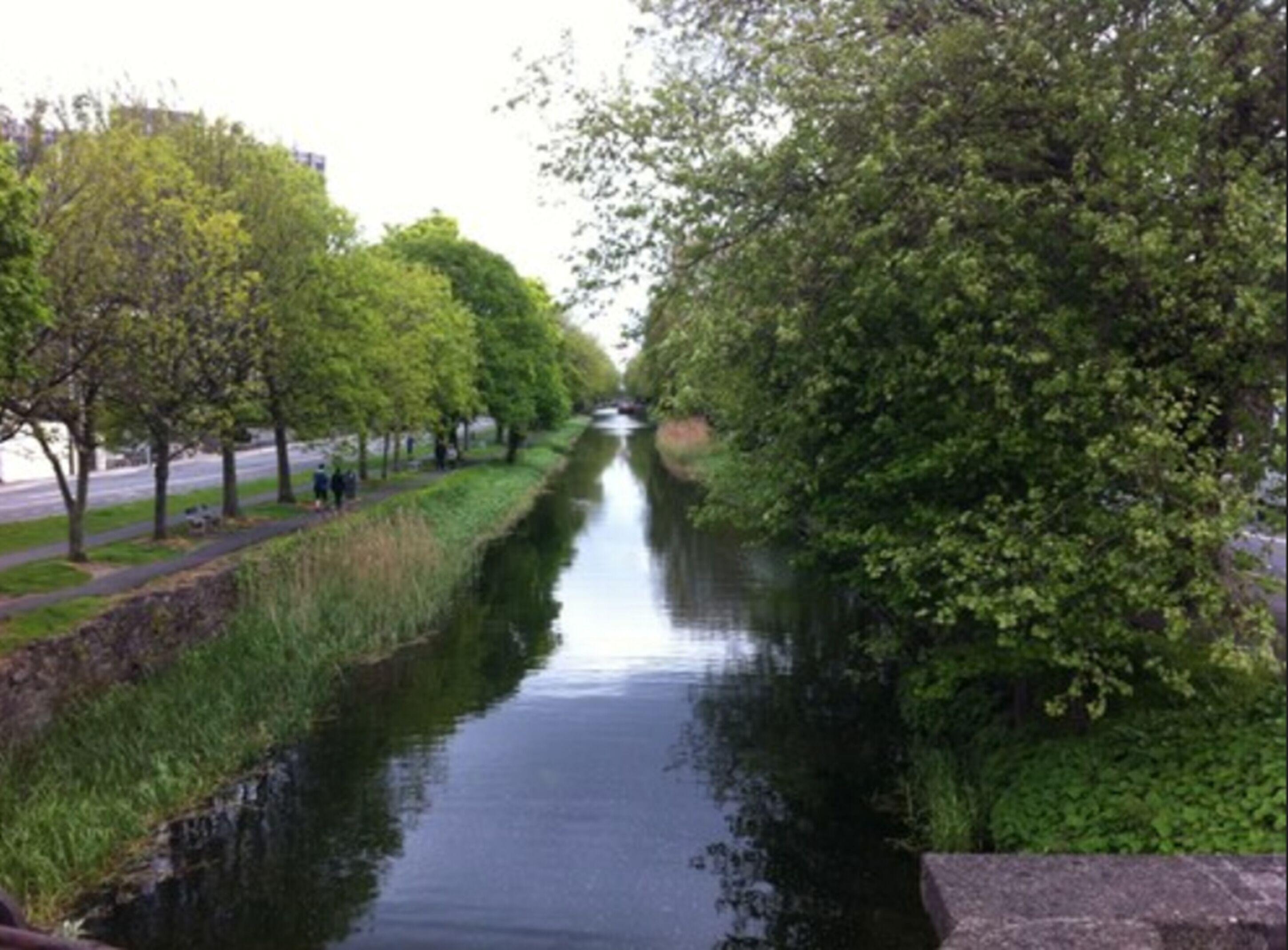 The Leeson Lodge - Dublin — Photos 3